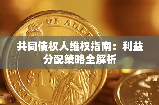 济南共同债权人维权指南：利益分配策略全解析